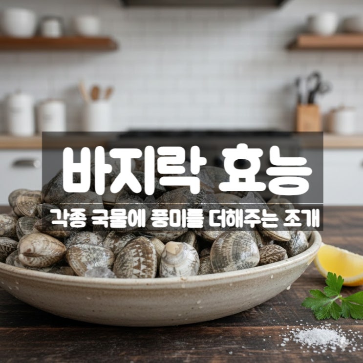 바지락 효능 제철 칼로리 먹는법 – 봄철 국물 맛을 살리는 건강 조개