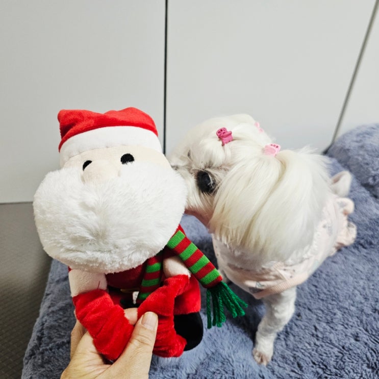  모던하우스 소프트터치 홀리데이 산타 애착인형 블랑켓