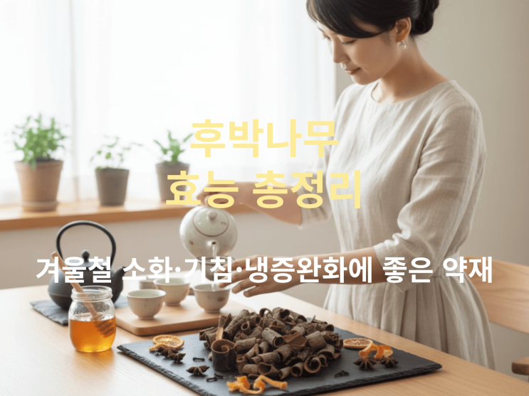 후박나무 효능 총정리: 겨울철 소화·기침·냉증 완화에 좋은 자연 약재