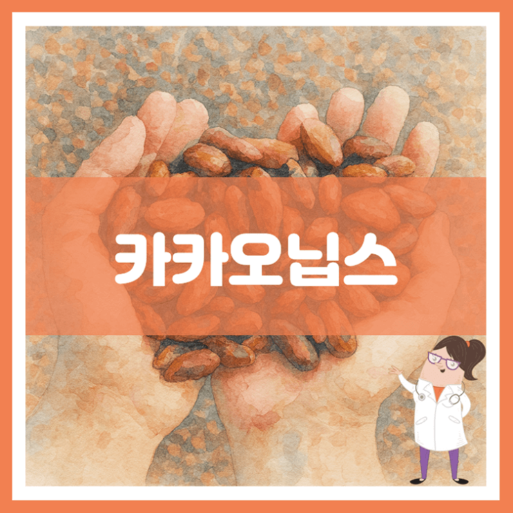  카카오닙스 효능 섭취방법 부작용
