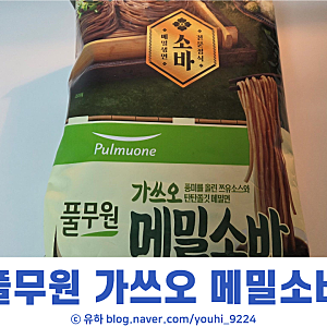 풀무원 가쓰오 메밀소바 해 먹은 후기