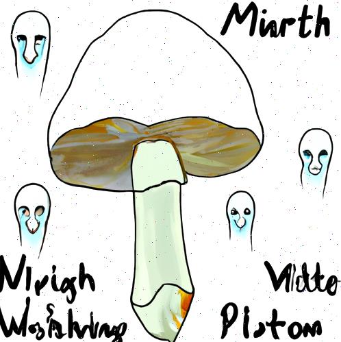  골베도라치 활용법과 효과적인 요리 레시피 소개