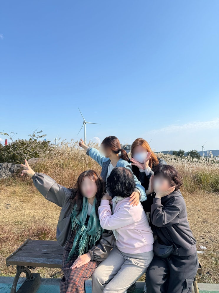  표선 카페 유채꽃프라자, 서귀포 드라이브 코스 추천!