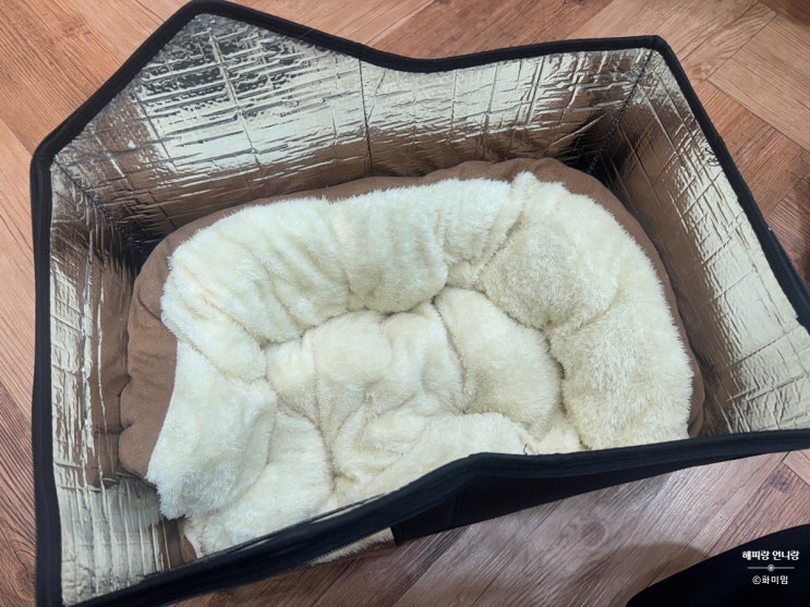  길냥이 겨울준비 캣킷 길고양이겨울집 내돈내산 재구매