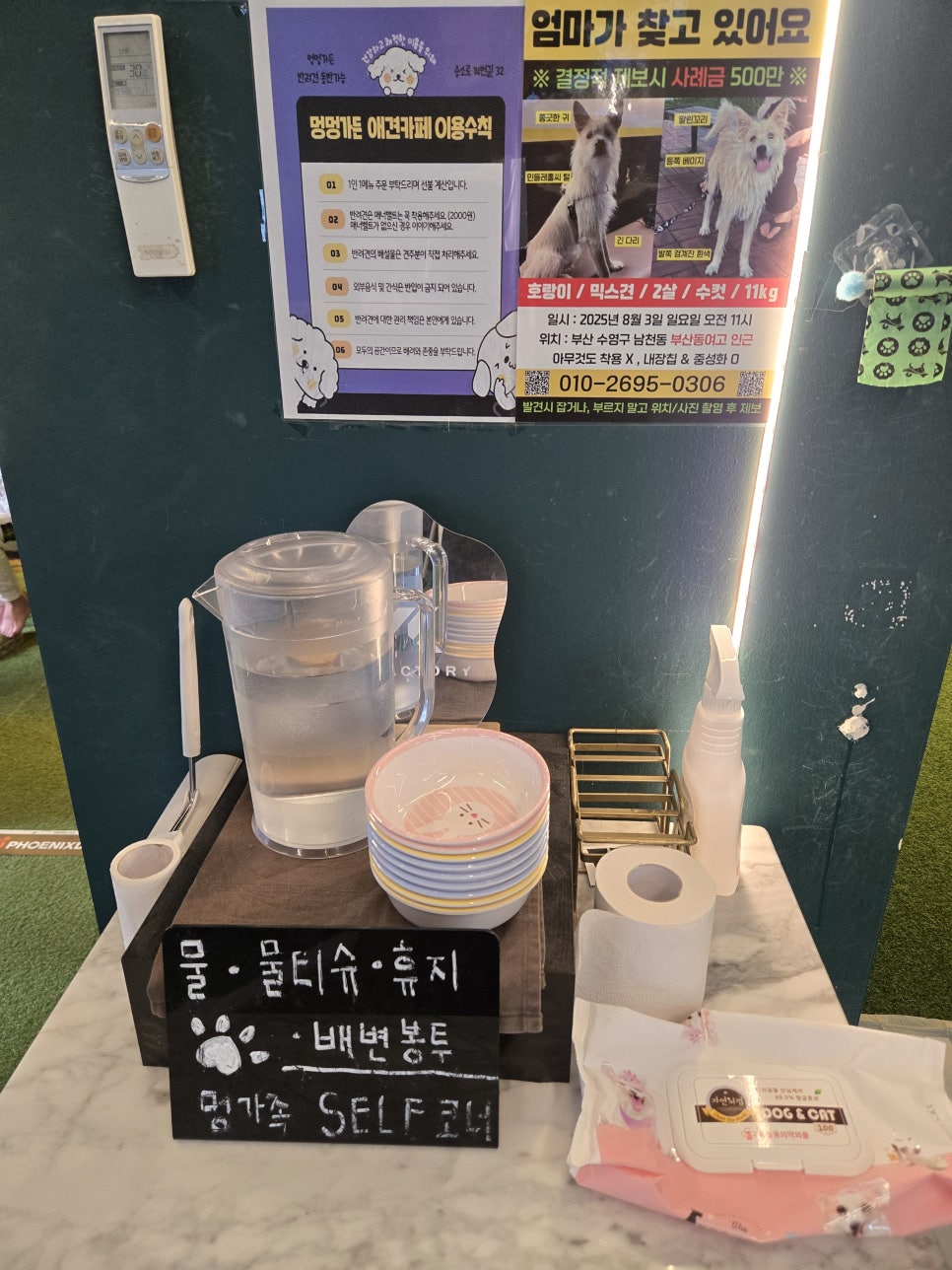 멍멍가든 사진 6
