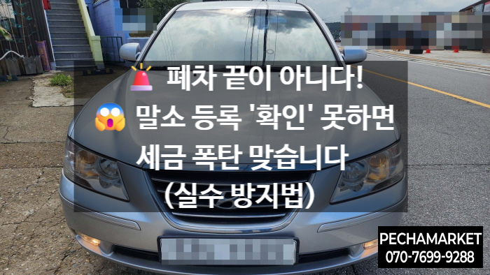   폐차 끝이 아니다!  말소 등록 '확인' 못하면 세금 폭탄 맞습니다 (실수 방지법)