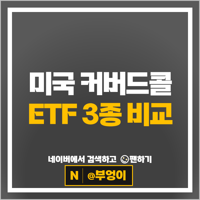 미국 커버드콜 고배당 ETF AMDY MSTY PYPY 주식 액면 병합