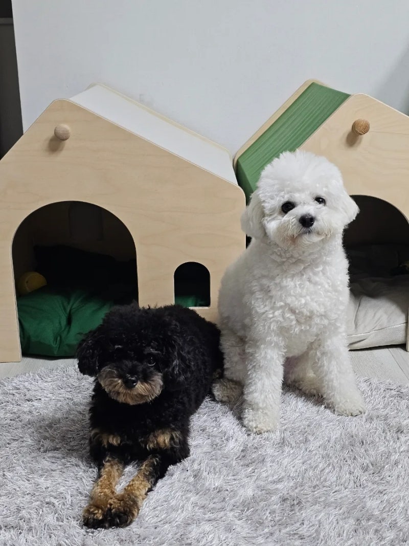 사진 4