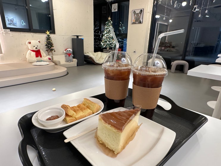  포항 애견카페 송도해수욕장 멍쥬르