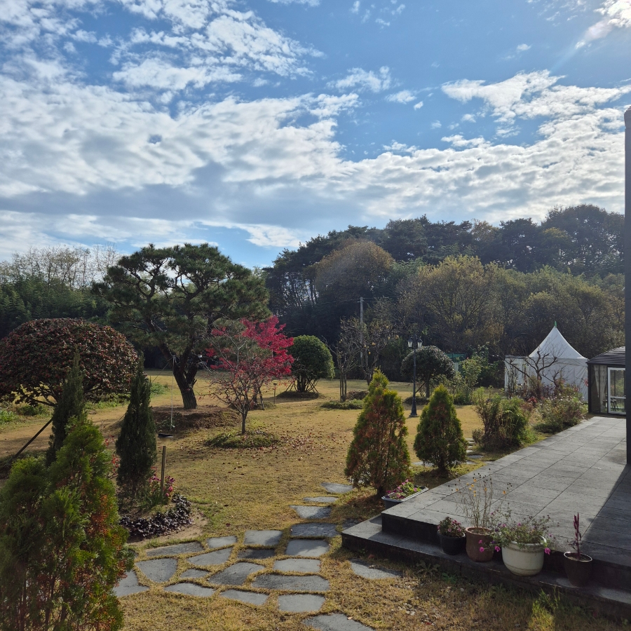 올로르 사진 5
