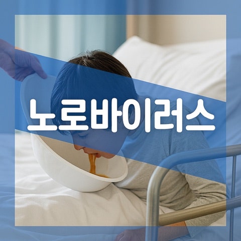 노로바이러스 초기증상 장염차이, 전염성 회복기간 예방법