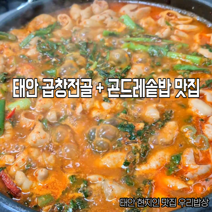  태안 현지인맛집 우리밥상 돼지곱창전골 곤드레솥밥 솔직후기