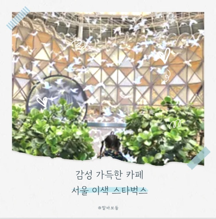  서울 감성 카페 분위기 즐긴 포토존 많은 아름다운 스타벅스