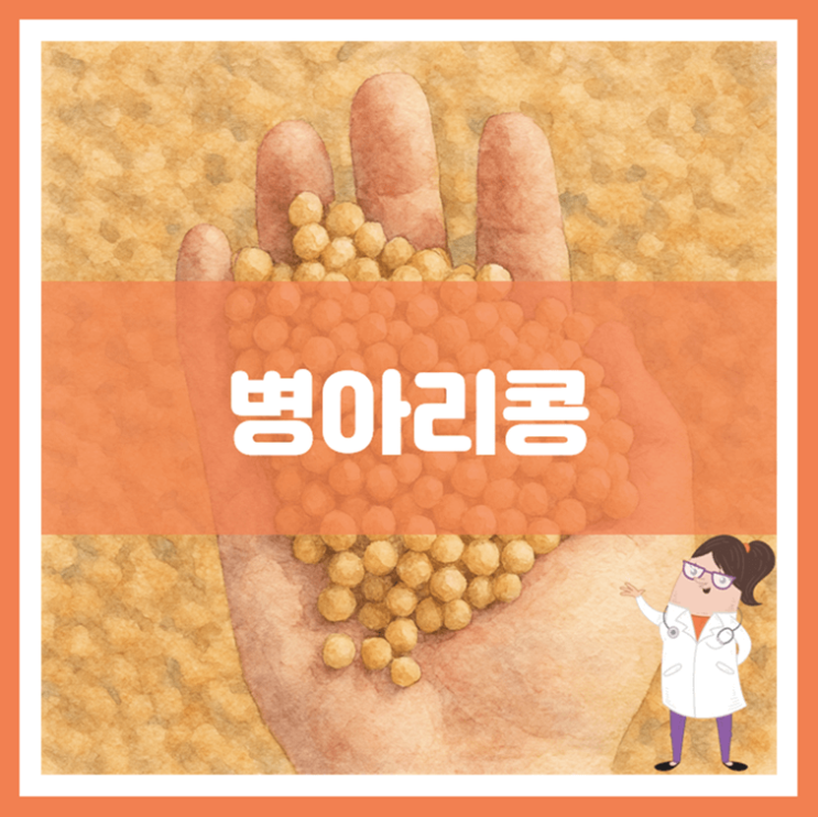  병아리콩 효능 영양성분 부작용