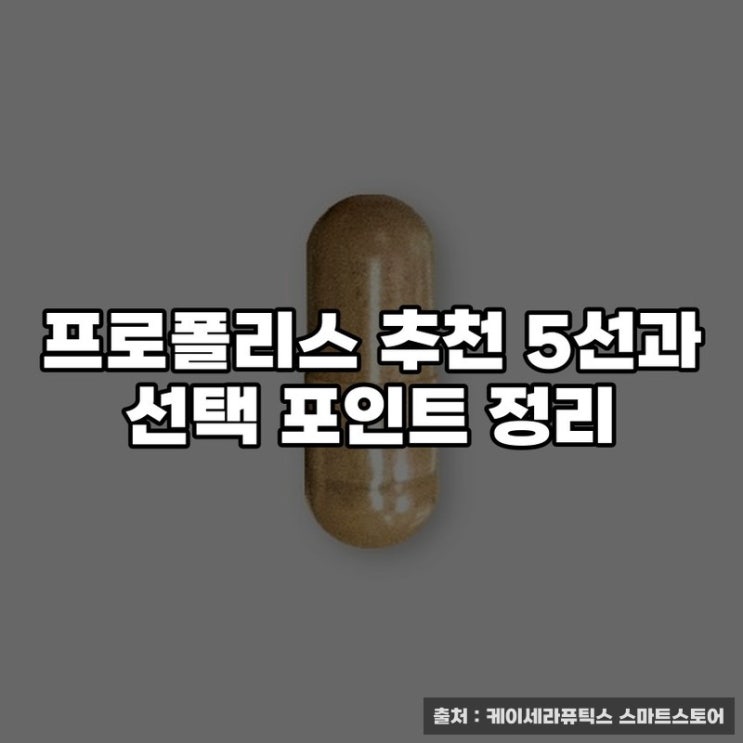  프로폴리스 추천 5선과 선택 포인트 정리