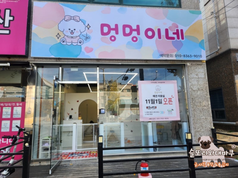사진 5