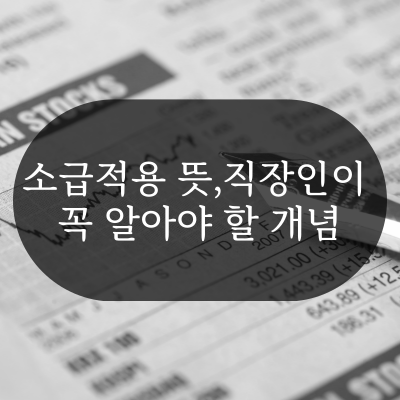 소급적용 뜻,직장인이 꼭 알아야 할 개념