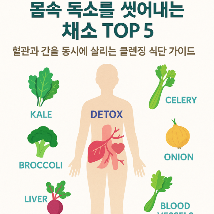  몸속 독소를 씻어내는 채소 TOP 5 – 혈관과 간을 동시에 살리는 클렌징 식단 가이드