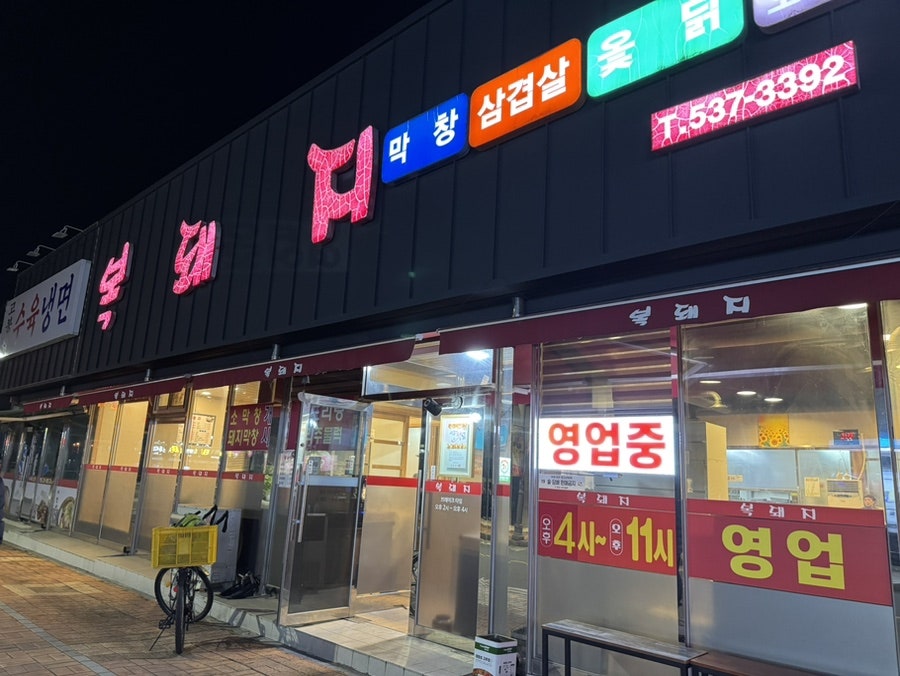 복돼지 사진 2