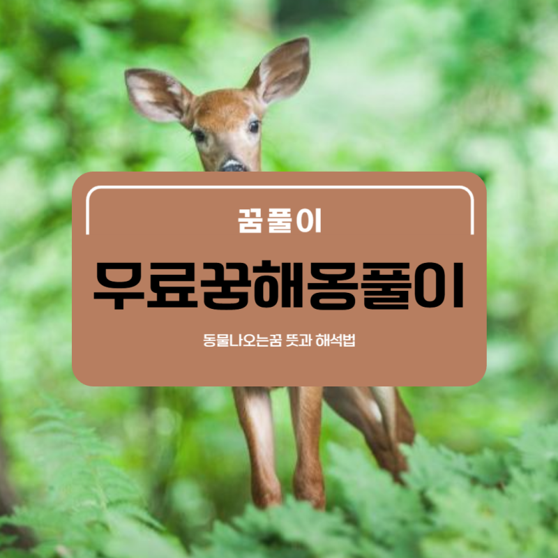 무료꿈해몽풀이 동물 나오는꿈 스스로 해석법
