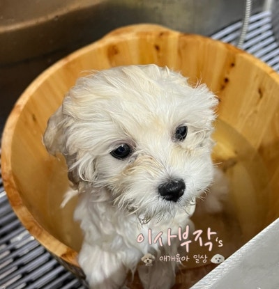 사진 6