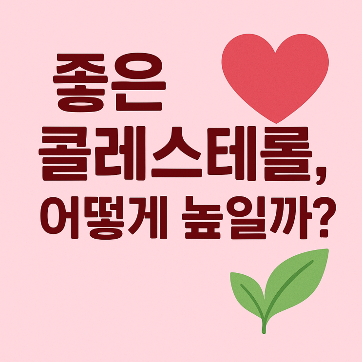  좋은 콜레스테롤, 어떻게 높일까?