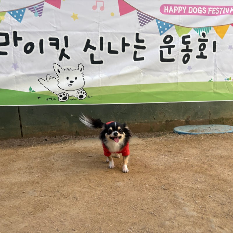 사진 10