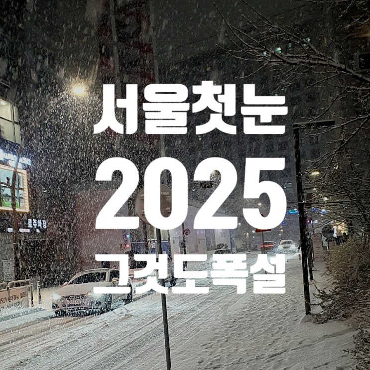  어제 서울 첫눈, 그것도 ‘폭설’!