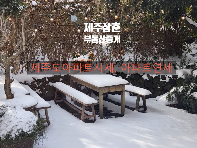 제주도 아파트시세, 제주도아파트연세 한눈에! 제주시.서귀포시 부동산 비교 가이드