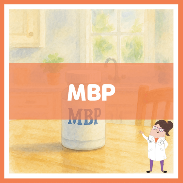  MBP 효능 섭취방법 부작용