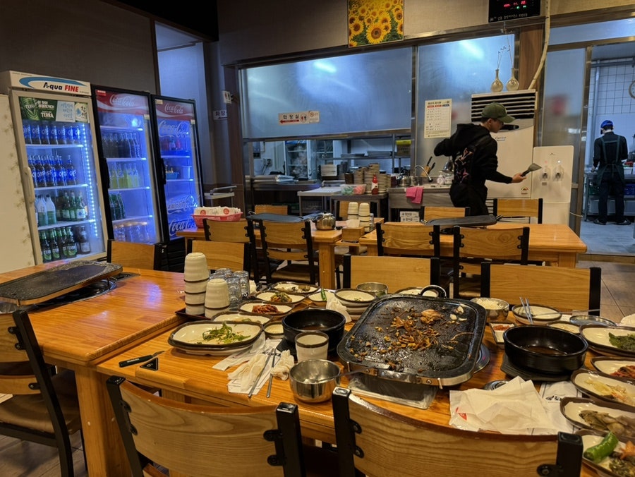 복돼지 사진 5