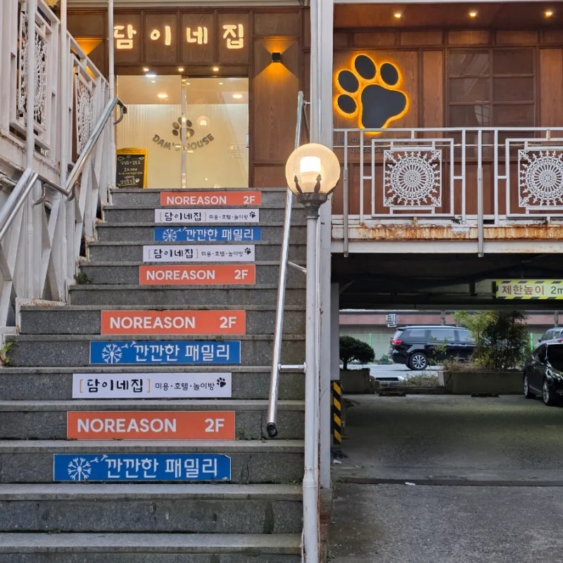사진 4