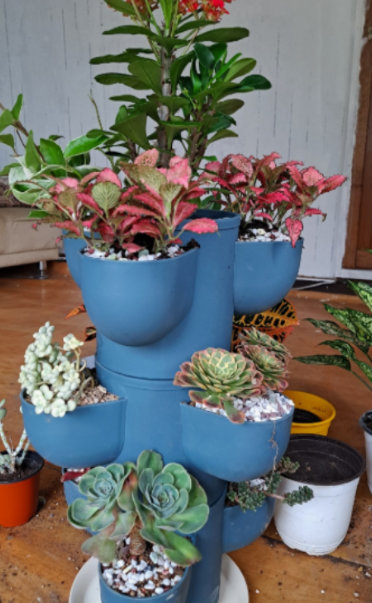 일상이 풍성하고 행복해지는 반려식물용품 전문 쇼핑몰 !