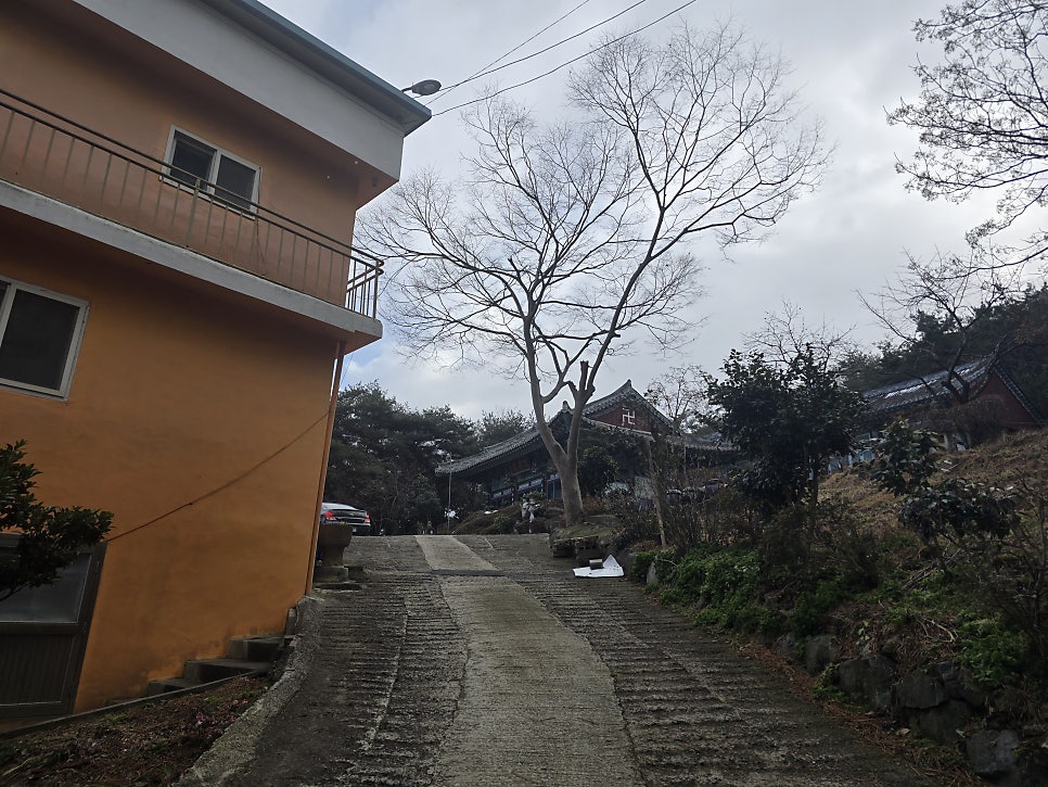 봉의산 사진 1