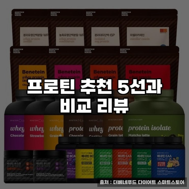 프로틴 추천 5선과 비교 리뷰