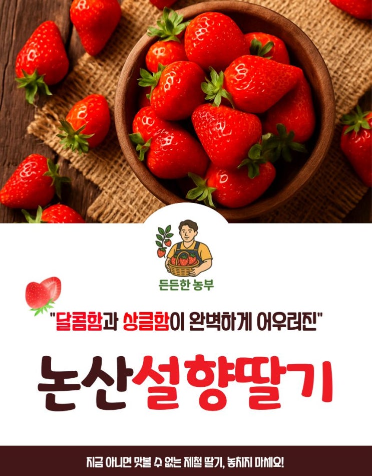  설향딸기 vs 킹스베리 vs 금실딸기! 올해 가장 달콤한 논산 생딸기 추천 든든한 농부