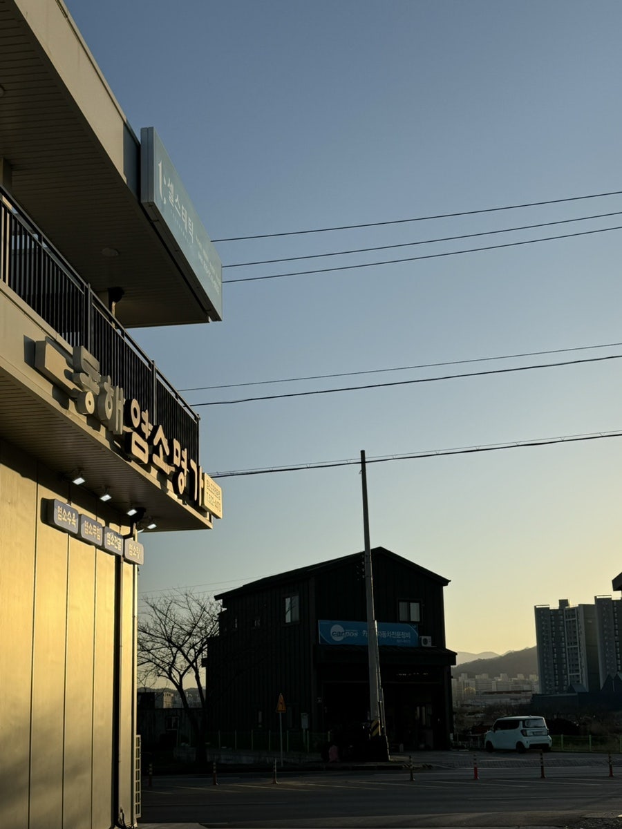 셀스테틱 동해점 사진 1