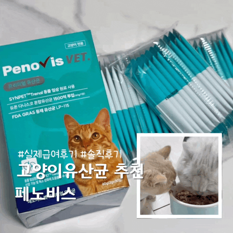  고양이 유산균 추천 페노비스 한달이상 급여후기