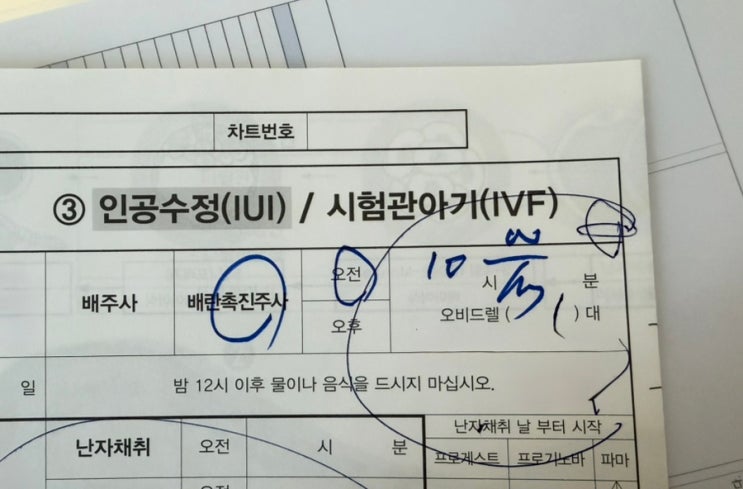  자연임신 과배란 #2 배유제 페마라정, 배란초음파, 오비드렐 / 주사 맞기 전 이미 배란 된건가..