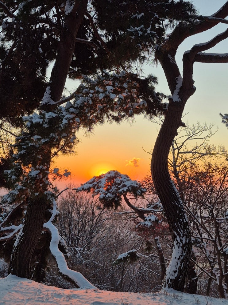 오늘아침, 설봉산의 첫눈과 일출을 보며...(20251205)
