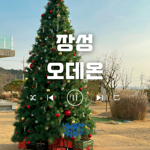  장성 오데온 카페 / 세 번째 방문! 트리 케이크 한입 가득!
