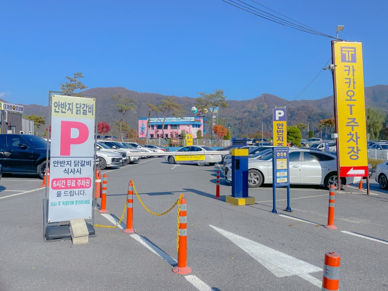 사진 8
