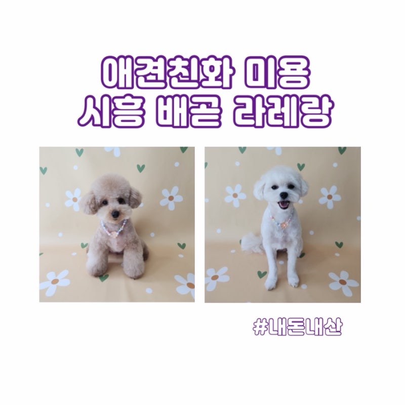 사진 5