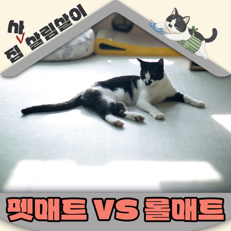  펫매트 VS 롤매트 고양이집에 맞는매트 딱 정해드려요 4년 실사용후기