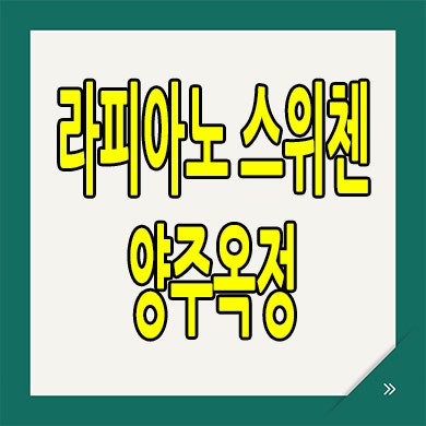  라피아노 양주옥정 스위첸 타운하우스 옥정신도시 할인분양 단독주택 분양정보