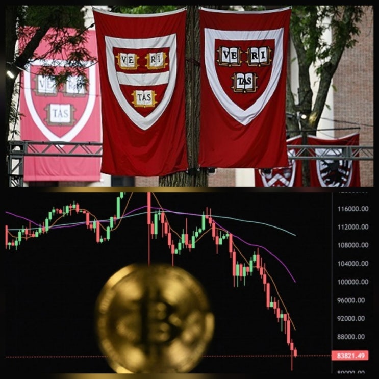 하버드 비트코인 ETF 거액 투자 전략 배경 가격 전망 분석
