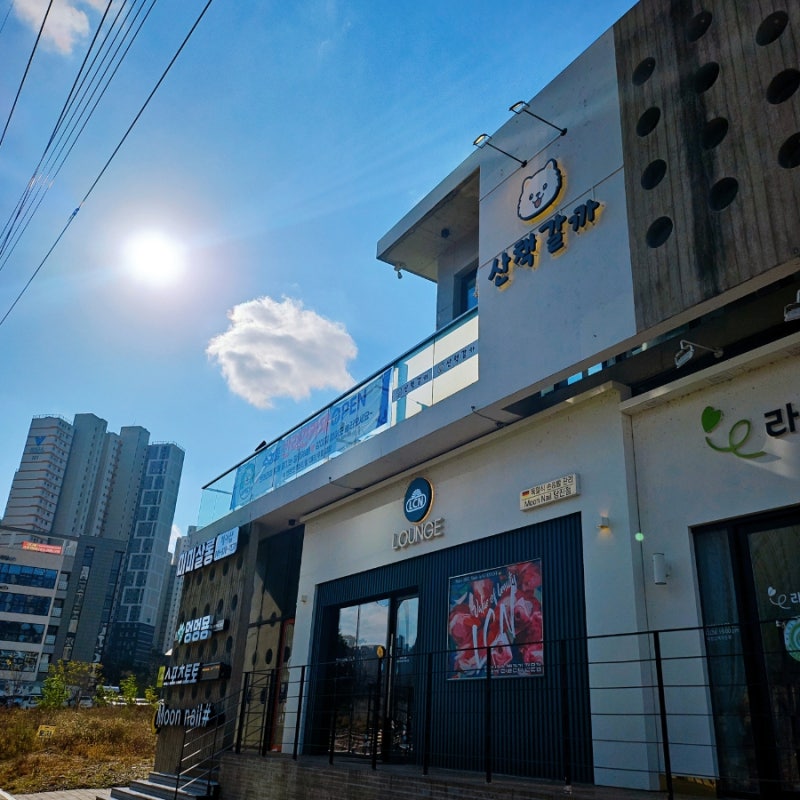 사진 2
