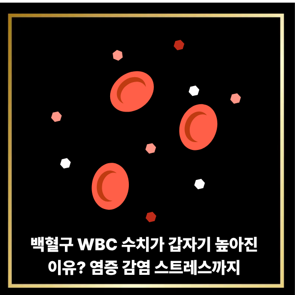  백혈구 WBC 수치가 갑자기 높아진 이유? 염증 감염 스트레스까지 완전 분석