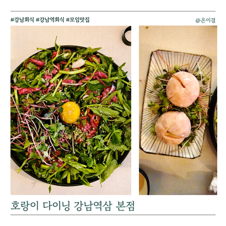  강남역 한우 육회 맛집 호랑이다이닝 강남역삼본점 영천식 미나리육회 모찌