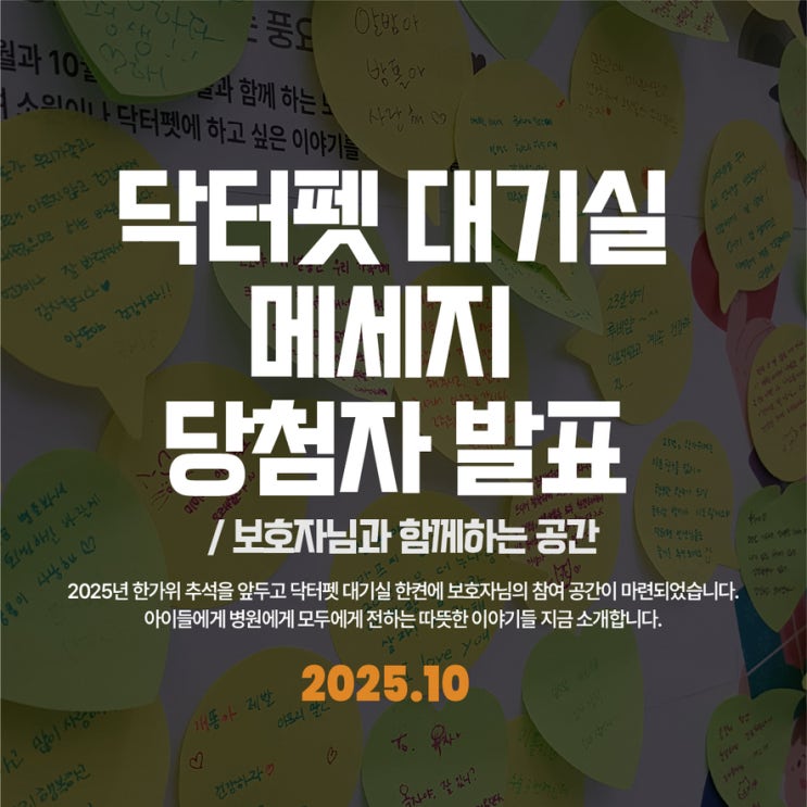  대기실 게시판 2025년 10월 보호자님 메세지 추첨 결과 (부산 24시 동물병원)